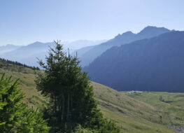 009 - oberhalb der alp